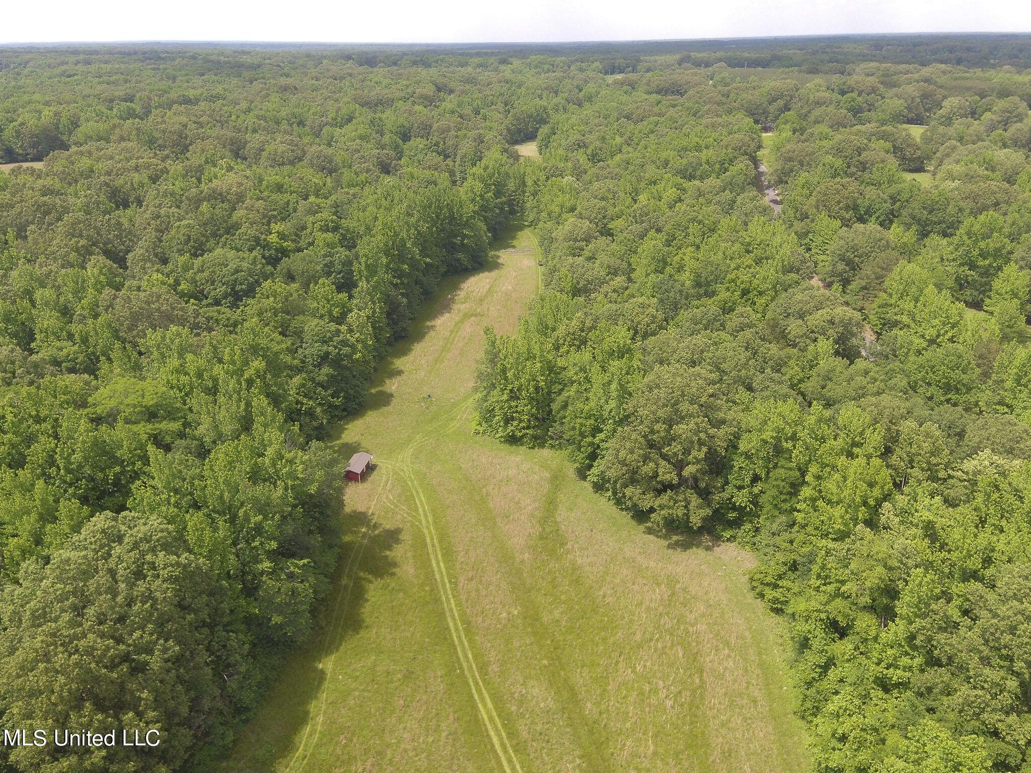 0 Avant Road Crenshaw, MS 38621 - Photo 10 of 14 Avant Rd 10