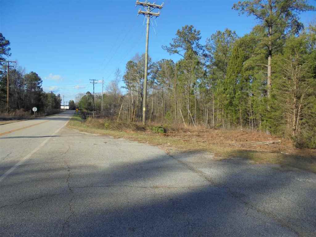 0 Hamby Road, Unit 19 54 ACRES Honea Path, SC 29654 - Photo 1 of 7
