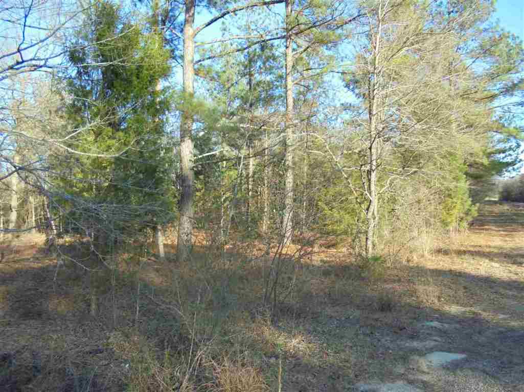 0 Hamby Road, Unit 19 54 ACRES Honea Path, SC 29654 - Photo 3 of 7
