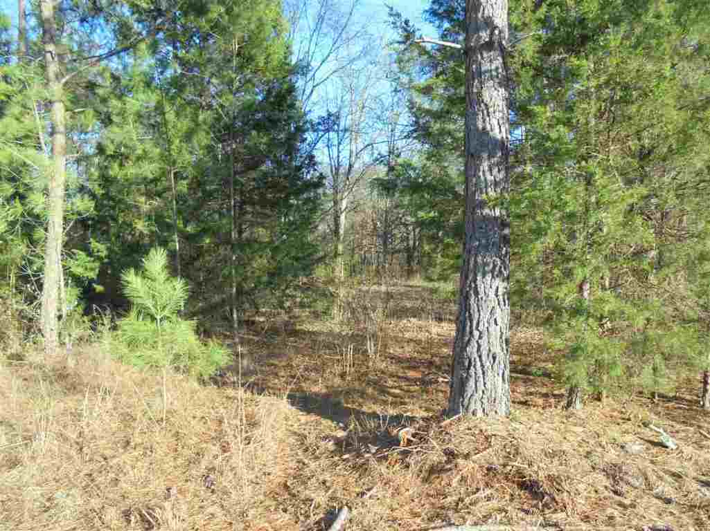 0 Hamby Road, Unit 19 54 ACRES Honea Path, SC 29654 - Photo 4 of 7