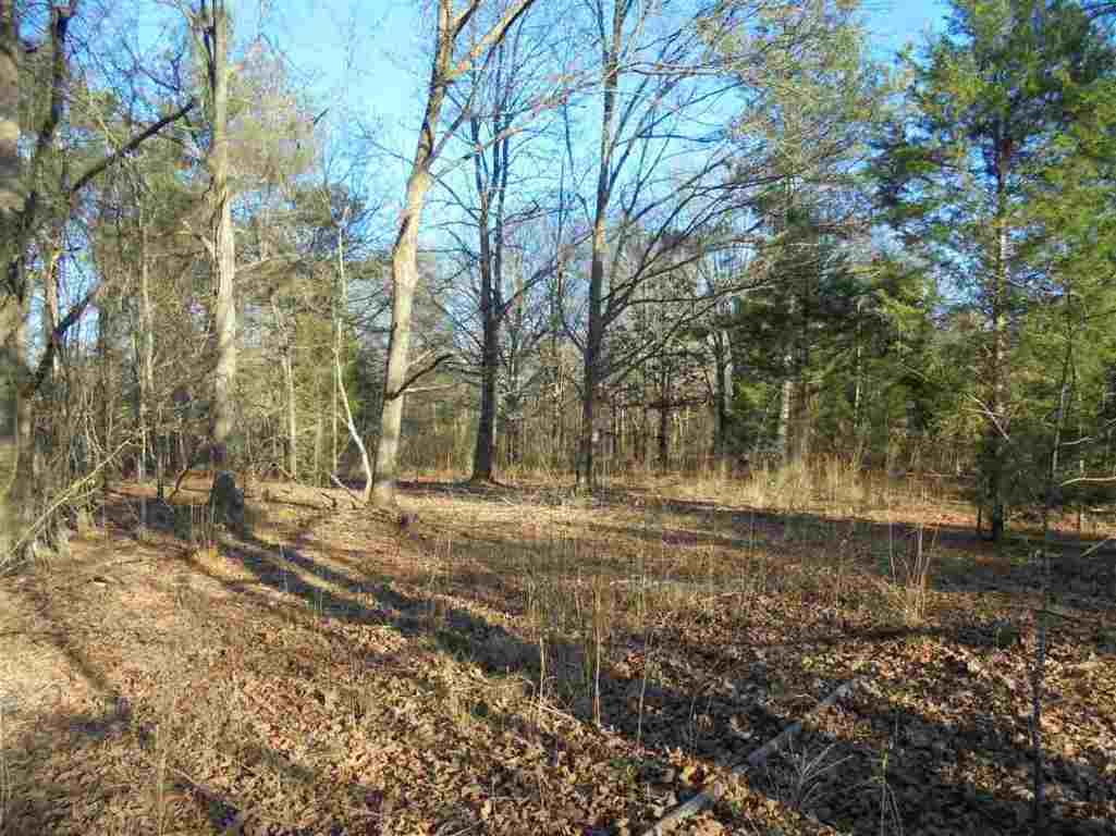 0 Hamby Road, Unit 19 54 ACRES Honea Path, SC 29654 - Photo 5 of 7
