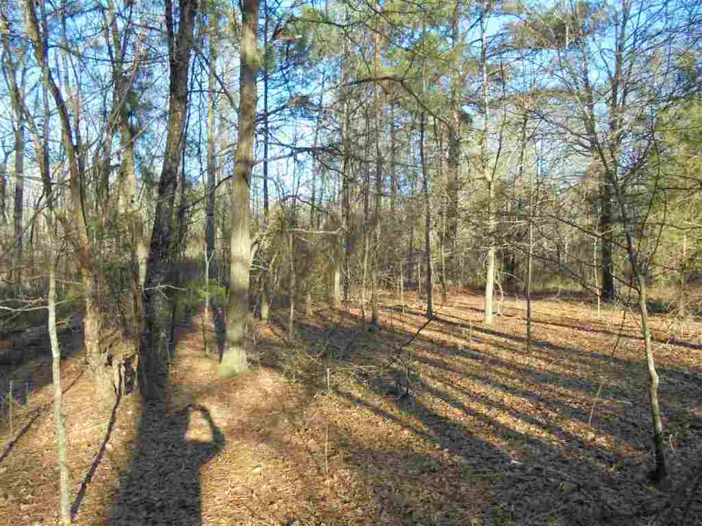 0 Hamby Road, Unit 19 54 ACRES Honea Path, SC 29654 - Photo 6 of 7