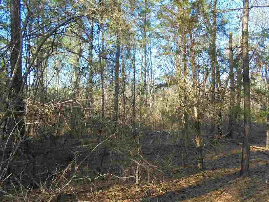 0 Hamby Road, Unit 19 54 ACRES Honea Path, SC 29654 - Photo 7 of 7