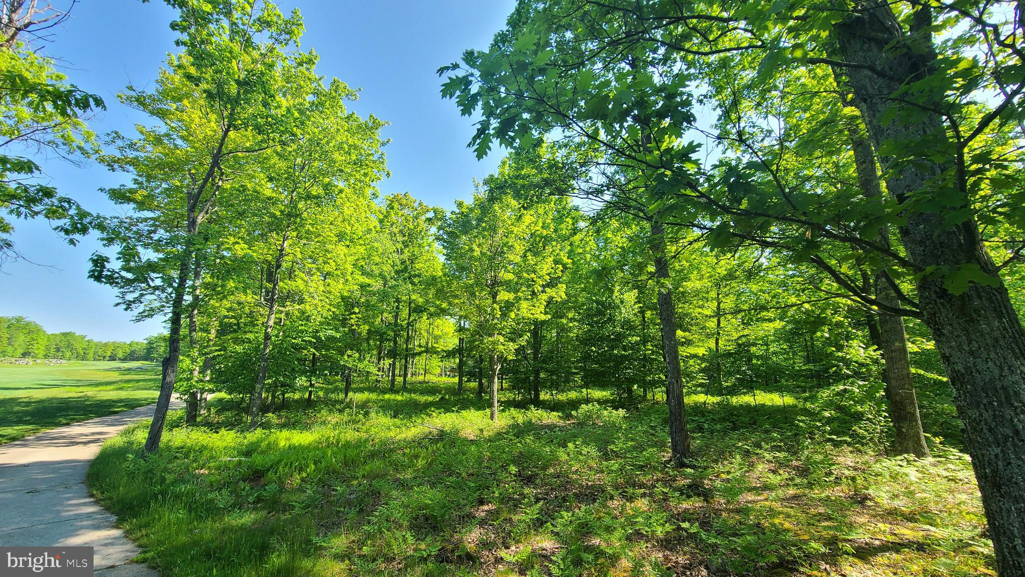 20 Fern Loop Oakland, MD 21550 - Photo 3 of 13