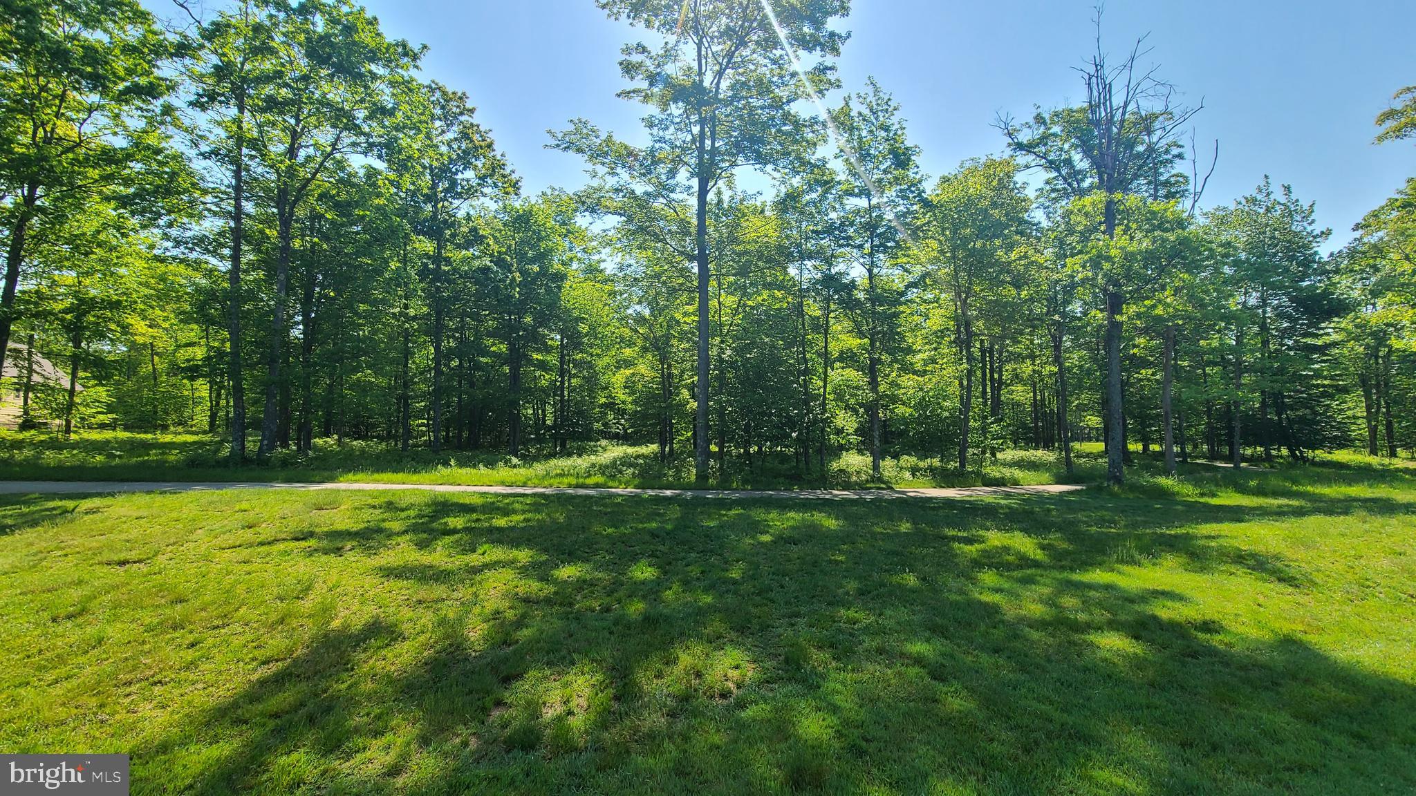 20 Fern Loop Oakland, MD 21550 - Photo 5 of 13