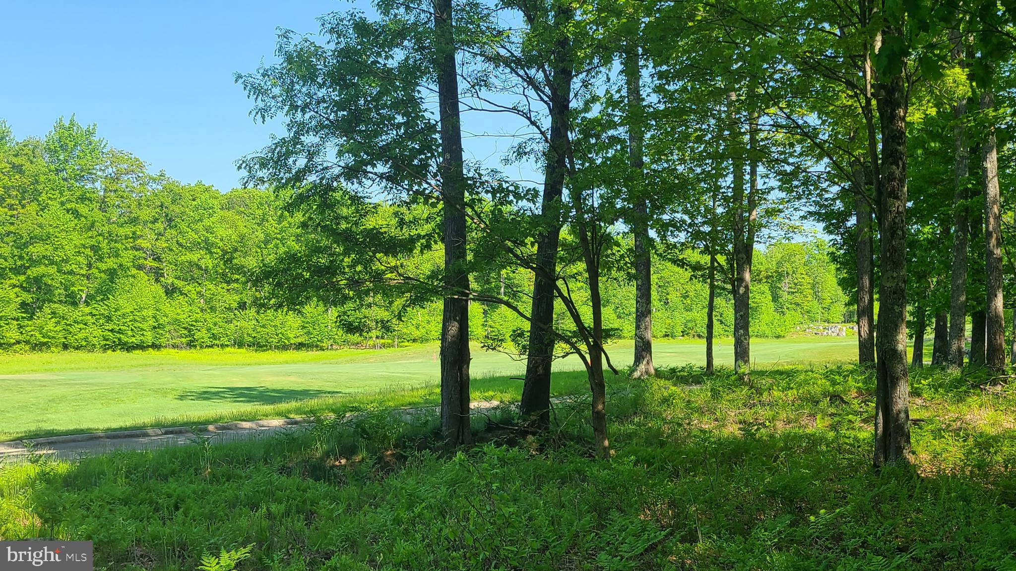 20 Fern Loop Oakland, MD 21550 - Photo 8 of 13