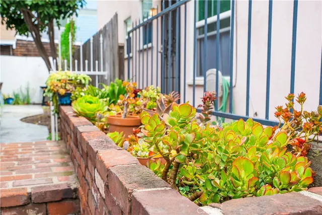 a view of a flowers in a garden
