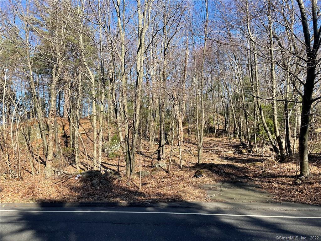 9-1 Witches Rock Road Bristol, CT 06010 - Photo 1 of 1 Gallery Image 1