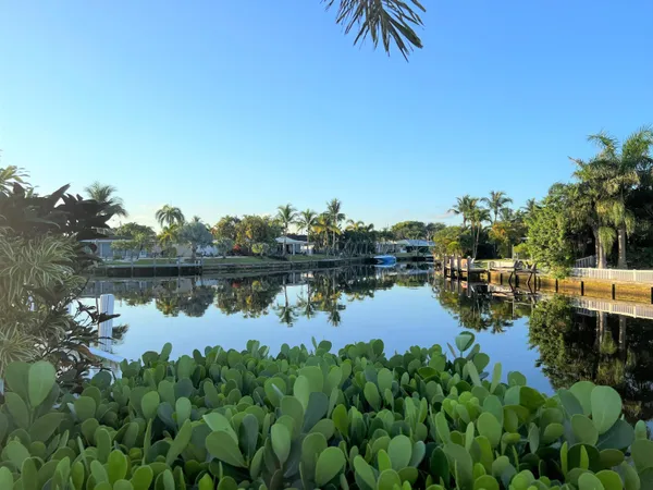 a view of lake and trees