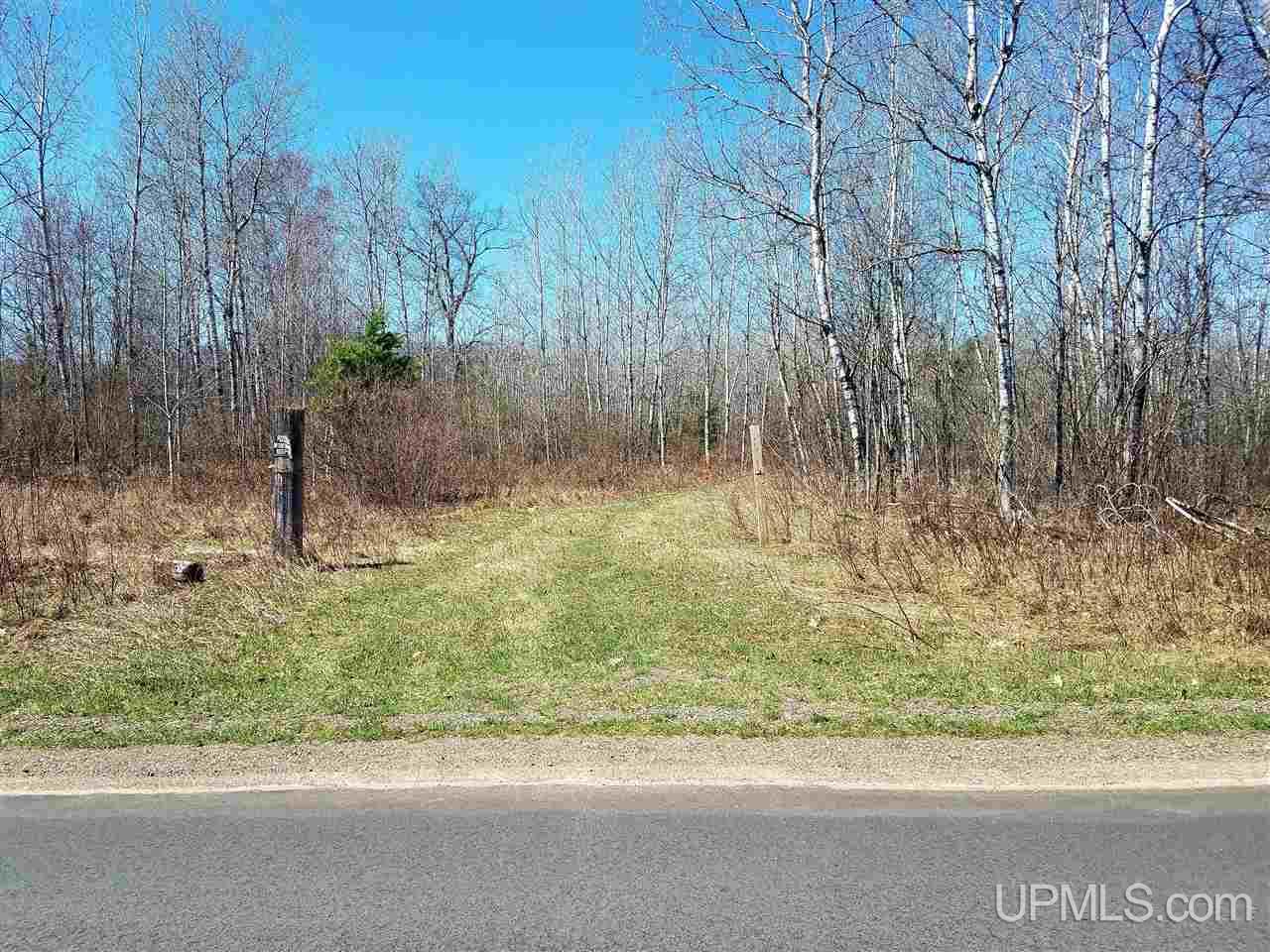 Tbd Lake Ellwood Road Florence, WI 54121 - Photo 2 of 9