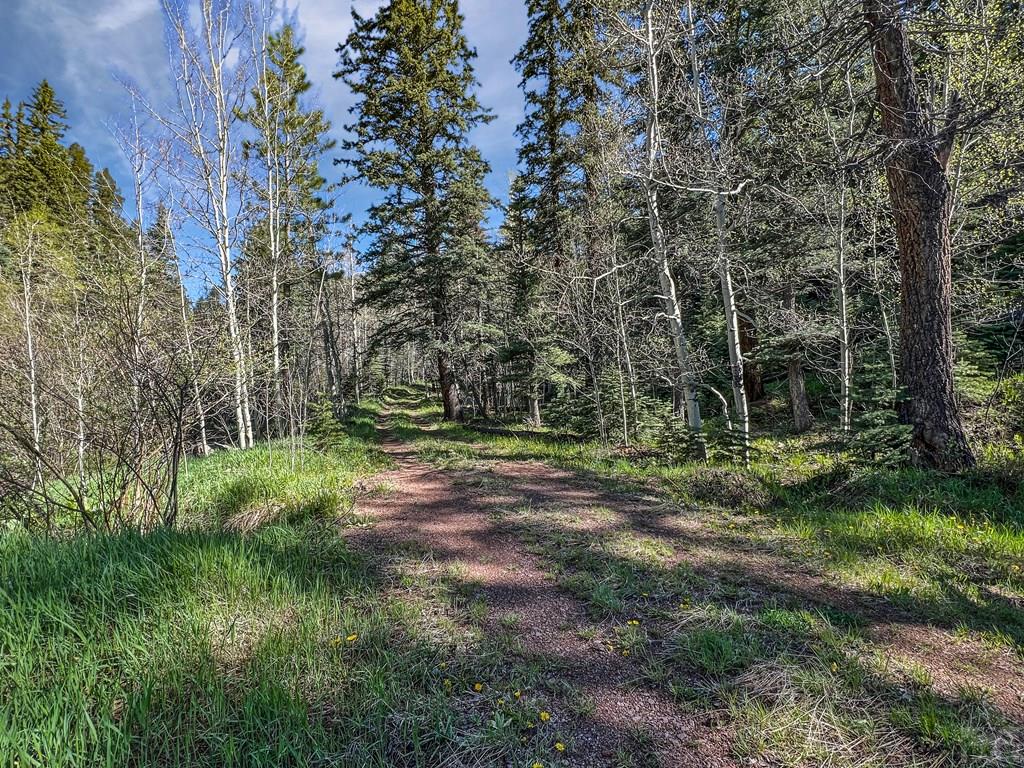 18450 Highway 165 Rye, CO 81069 - Photo 13 of 20