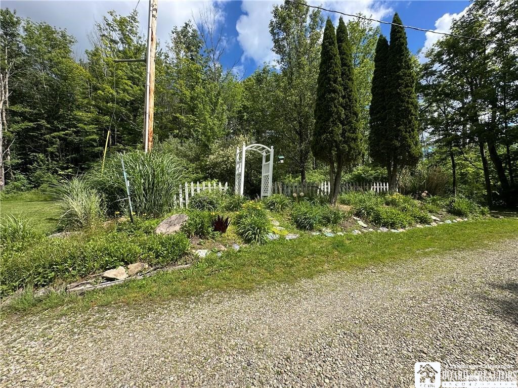 13170 Transit Line Road Concord, NY 14141 - Photo 18 of 27