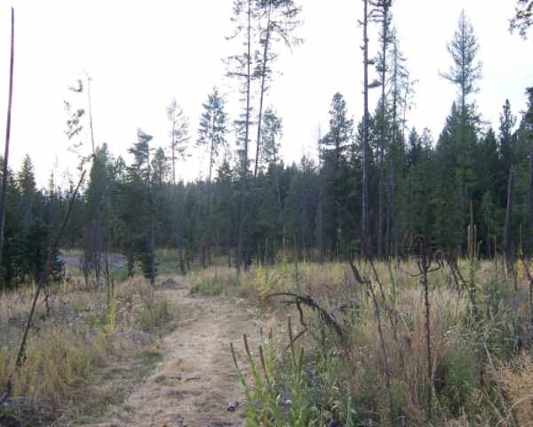 0 East Burnett Road Mead, WA 99021 - Photo 3 of 7