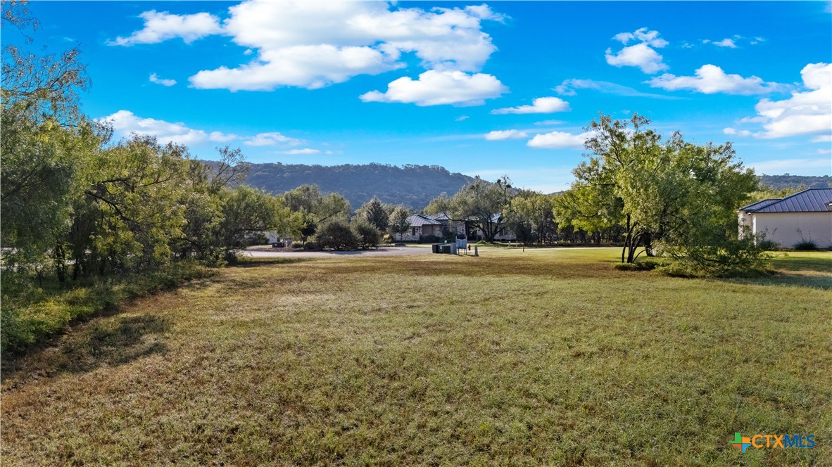 832 Wade Road New Braunfels, TX 78132 - Photo 5 of 11
