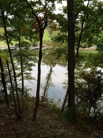 a view of lake from a yard