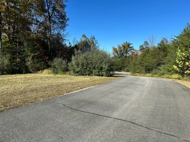 a view of a yard with large trees