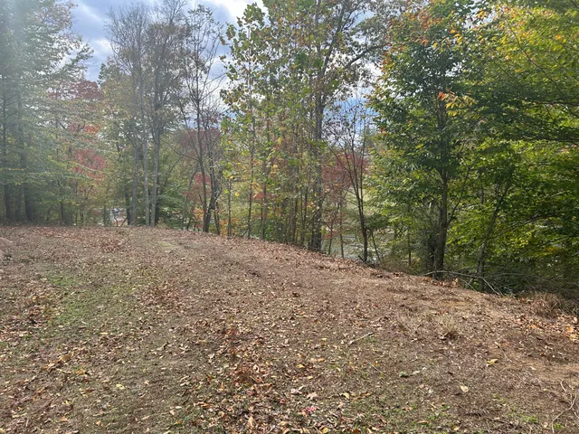 a view of outdoor space