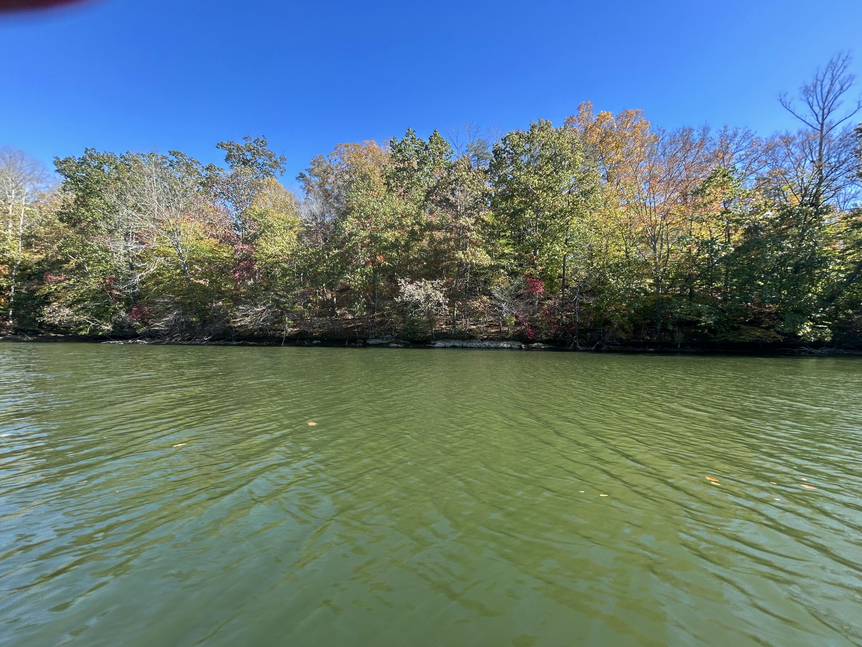 Lot 63 Waterworld Pointe Goodview, VA 24095 - Photo 15 of 20 a view of an ocean