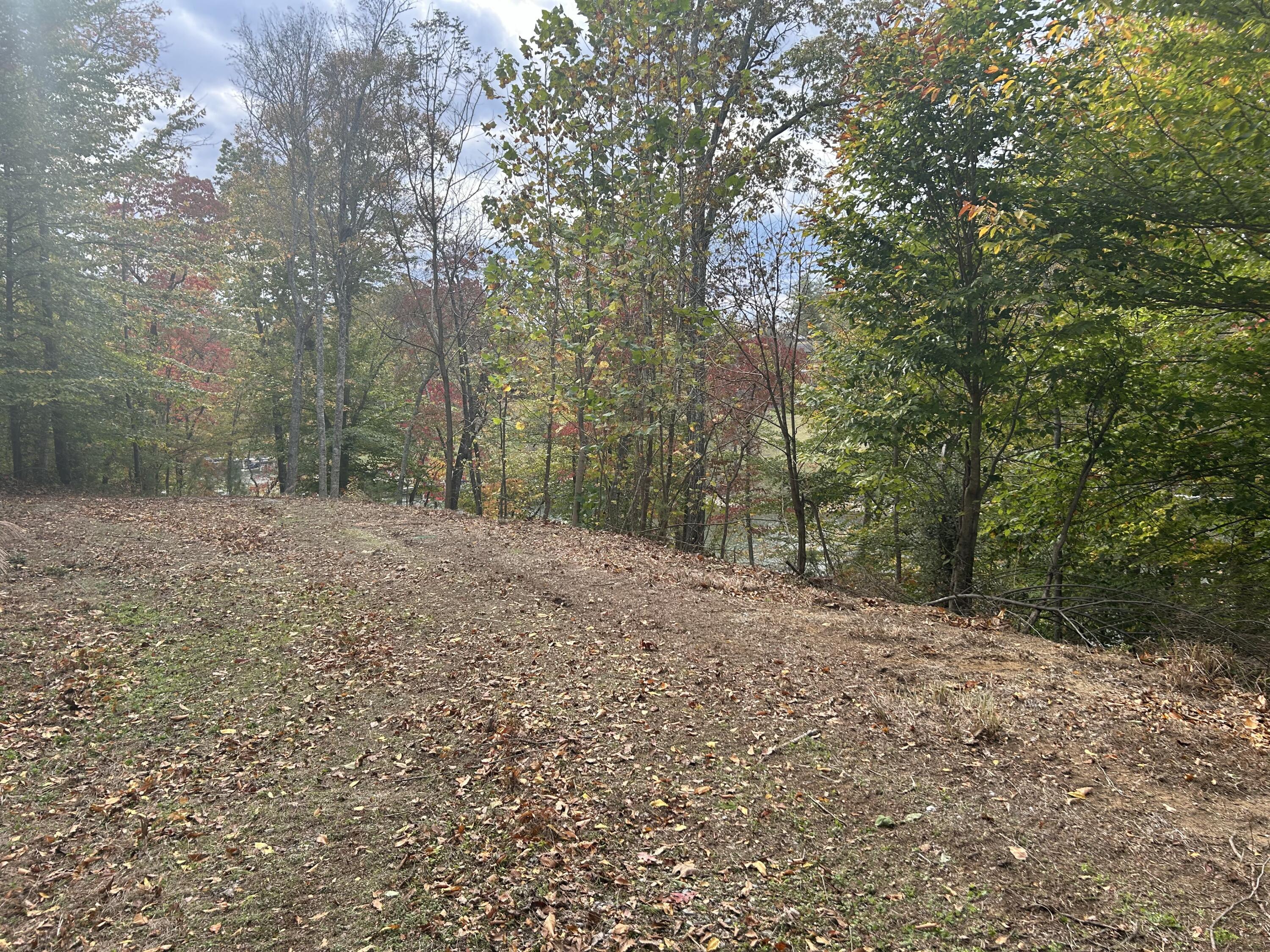Lot 63 Waterworld Pointe Goodview, VA 24095 - Photo 16 of 20 a view of a yard with large trees