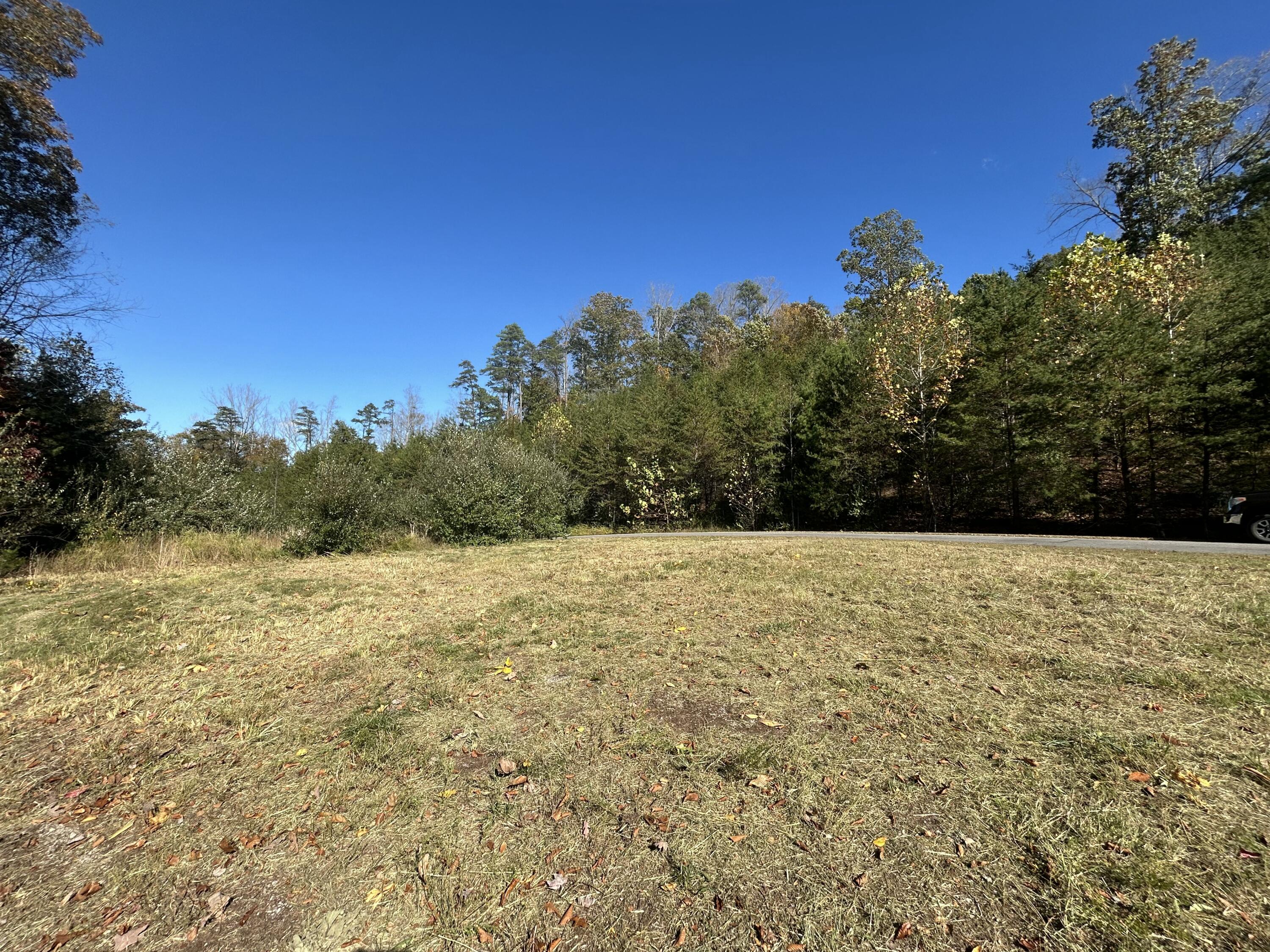 Lot 63 Waterworld Pointe Goodview, VA 24095 - Photo 17 of 20 a view of a yard
