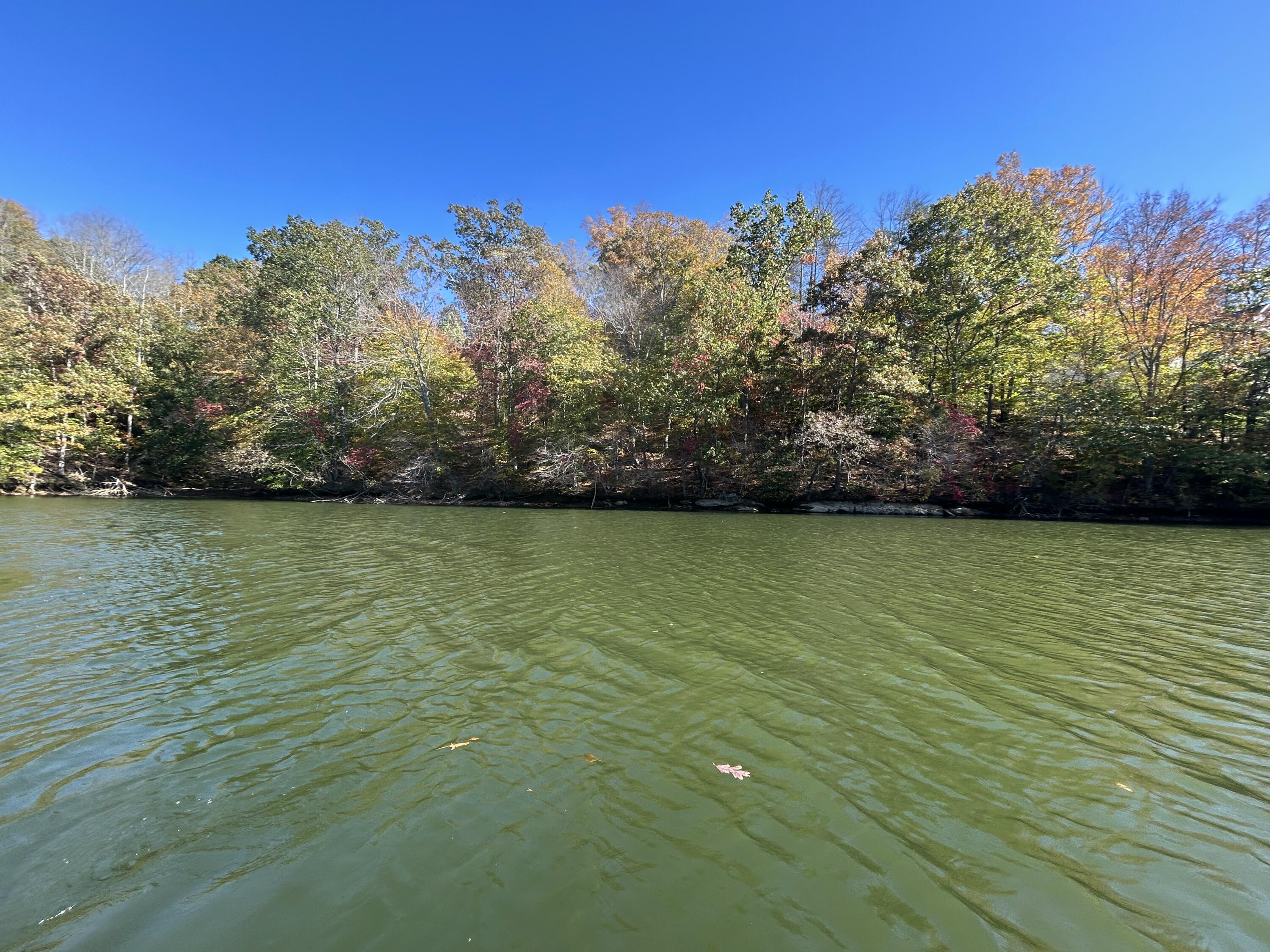 Lot 63 Waterworld Pointe Goodview, VA 24095 - Photo 8 of 20 a view of a lake view
