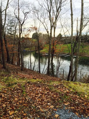a view of an outdoor space and a yard