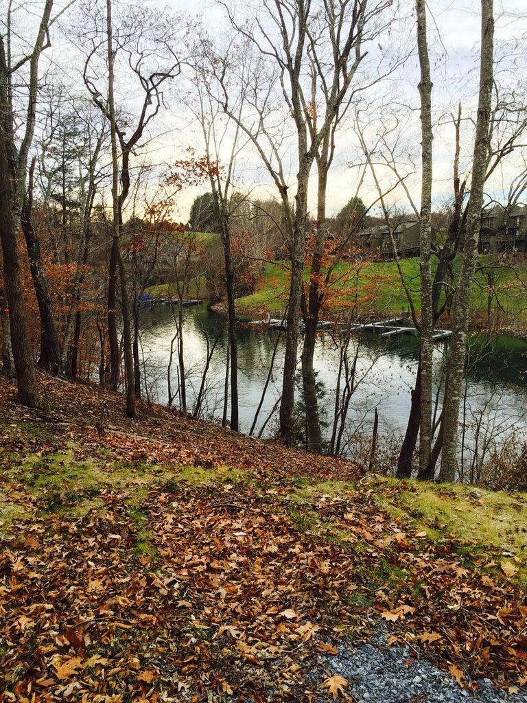 Lot 63 Waterworld Pointe Goodview, VA 24095 - Photo 10 of 20 a view of a yard with a tree
