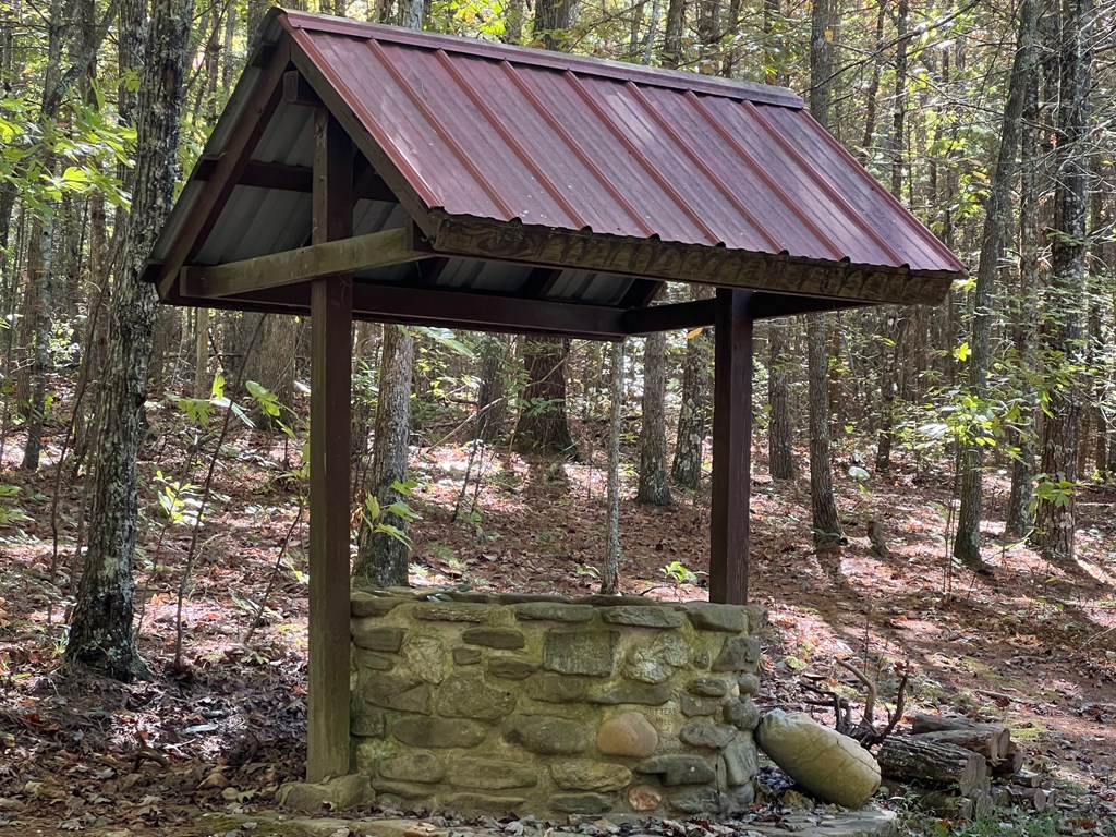 50 Cherokee Road Blairsville, GA 30512 - Photo 3 of 14 Gallery Image 3