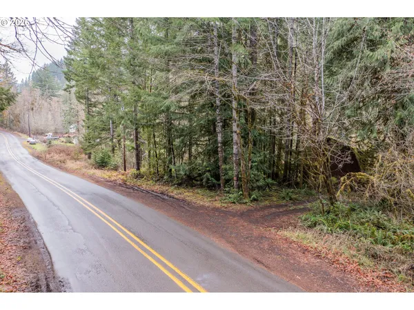 a view of a yard and pathway