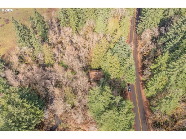 a view of a yard with a tree