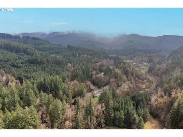 a view of a mountain range with trees