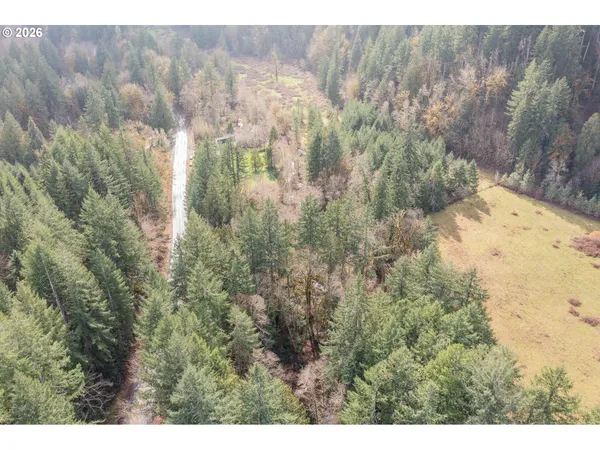 a view of a dry yard with trees