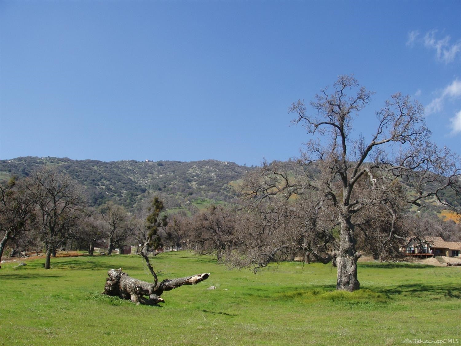 27901 Bear Valley Road Tehachapi, CA 93561 - Photo 7 of 21 Gallery Image 7