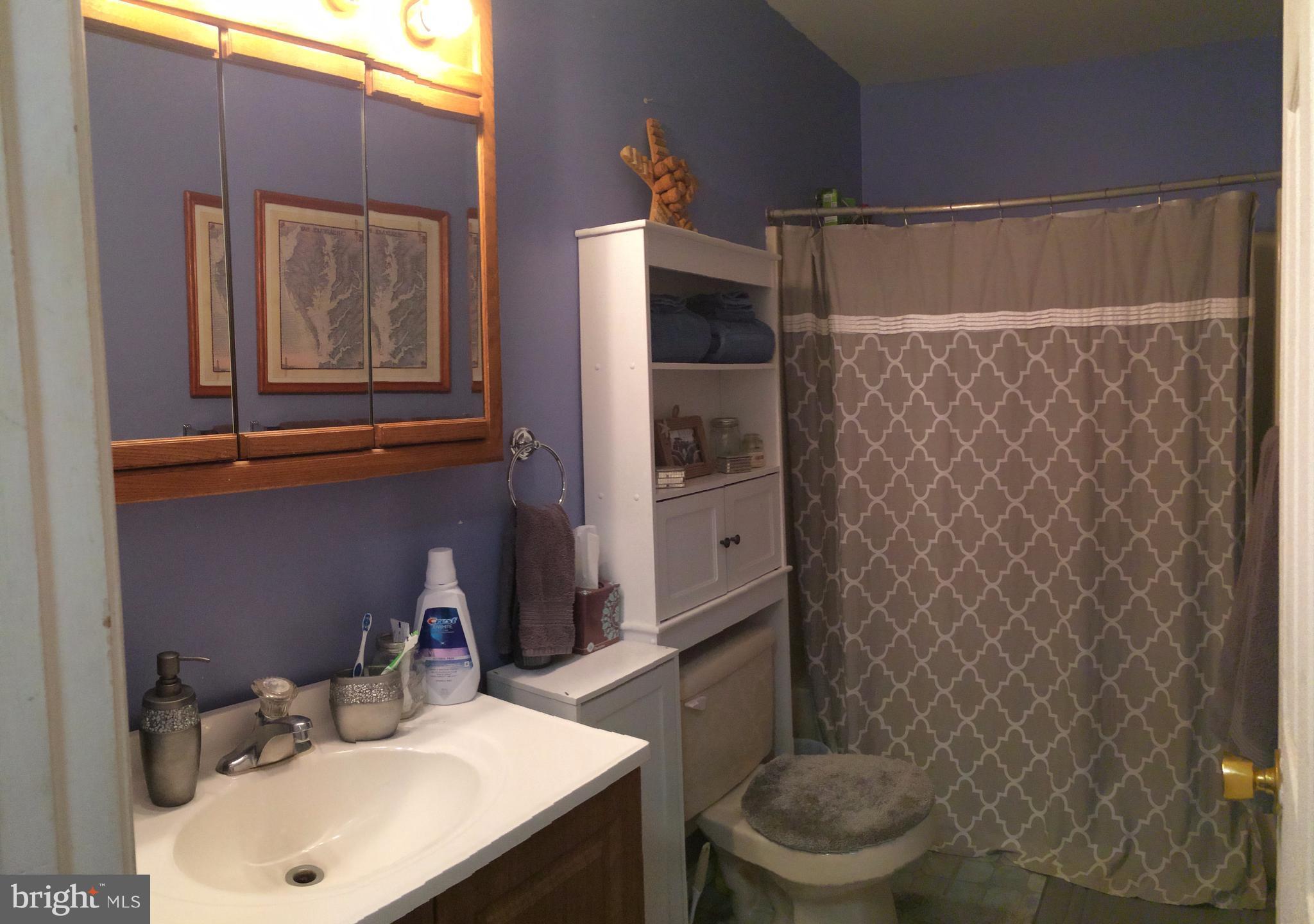 26270 Baker Road Denton, MD 21629 - Photo 9 of 22 Bath