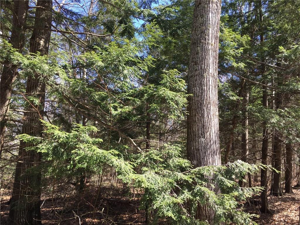 0 Dirt Road Camden, ME 04843 - Photo 2 of 2 Photo