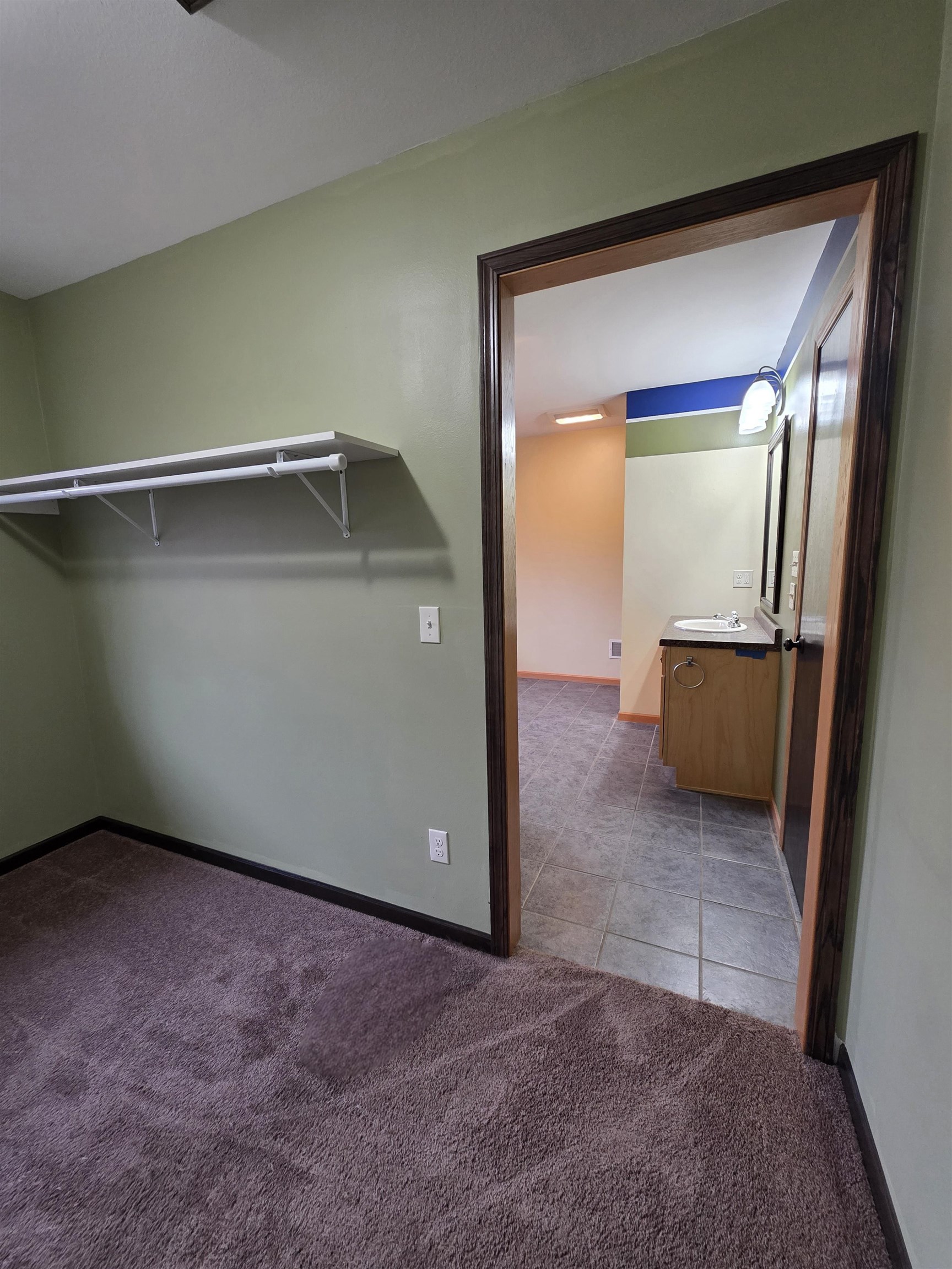 1159 Dover Drive Adams, WI 53910 - Photo 64 of 86