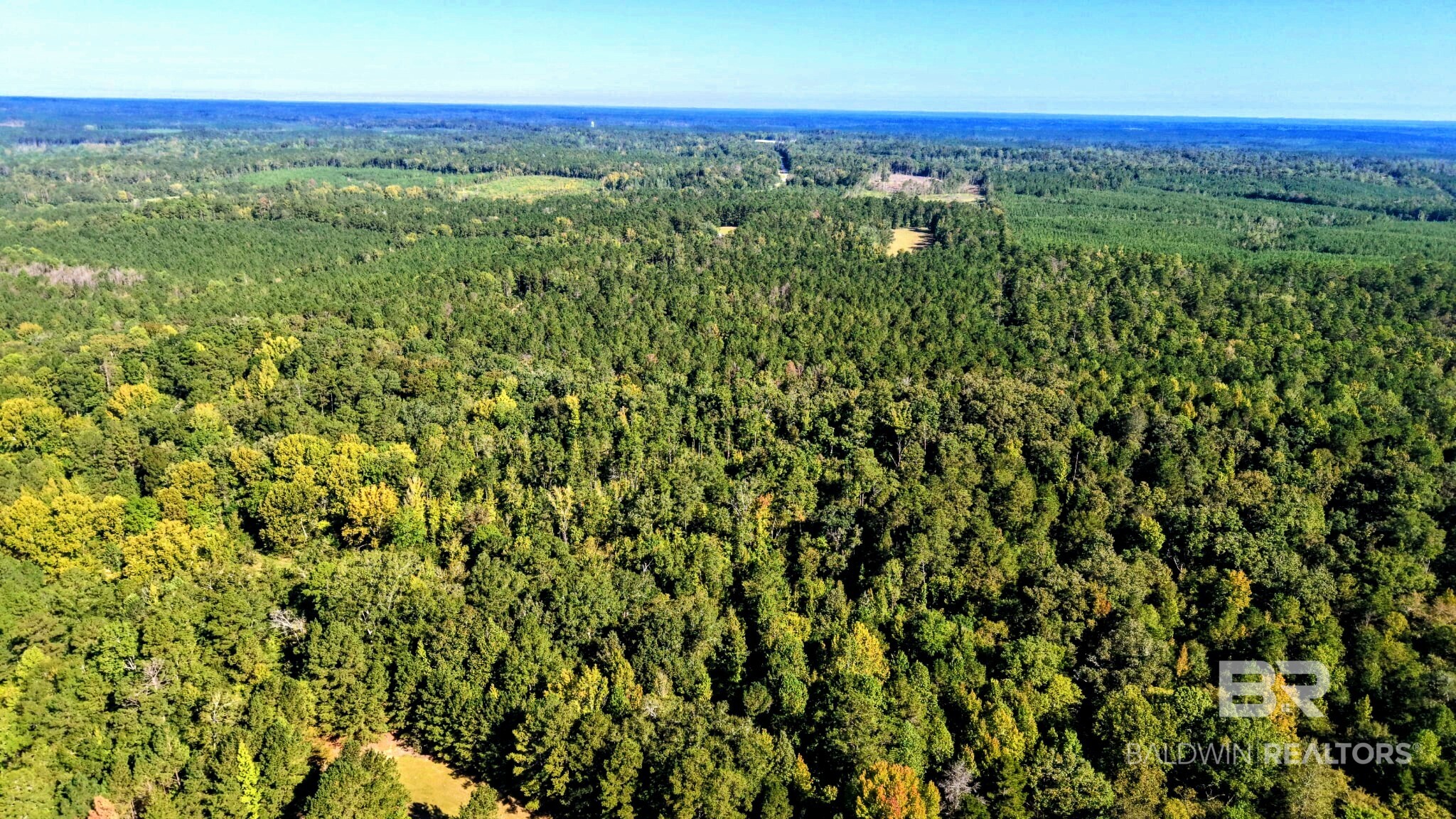 0 Highway 17 Millry, AL 36558 - Photo 52 of 73 Gallery Image 52