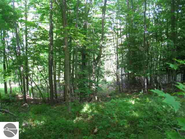 11606 Shippy Road Southwest Fife Lake, MI 49633 - Photo 24 of 25 1728682-23.JPG
