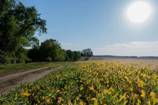 $540,000 | 41474 460th Street, Perham, MN 56573