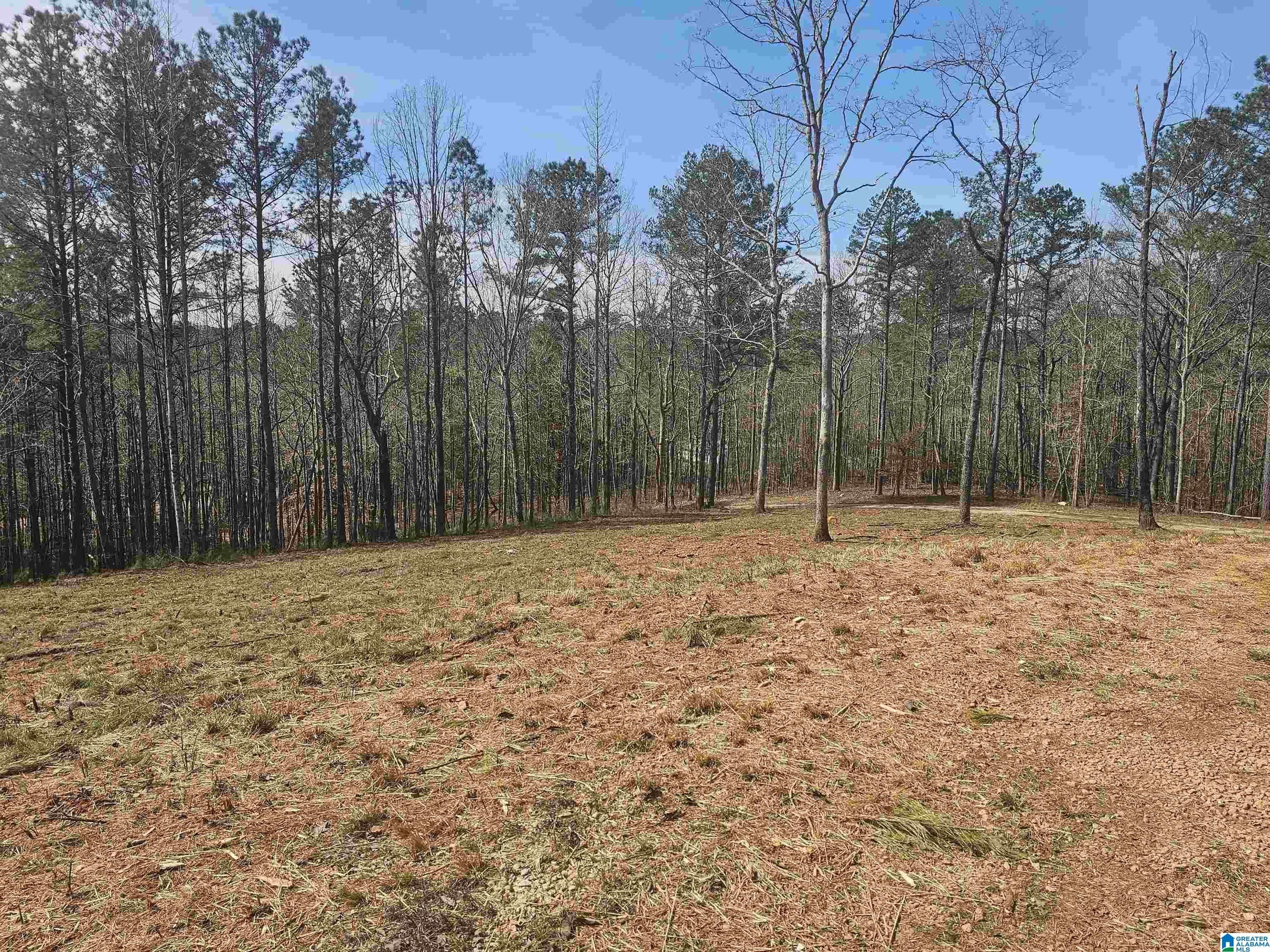 8235 County Road 10 Ranburne, AL 36273 - Photo 12 of 16