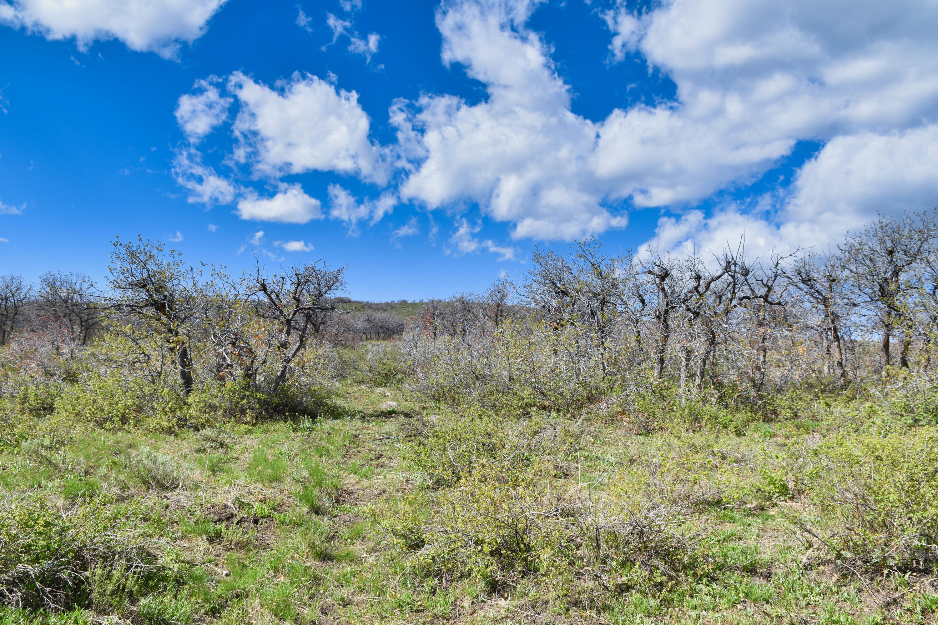 1115 Cornerstone Loop Montrose, CO 81403 - Photo 11 of 19 cam_-8