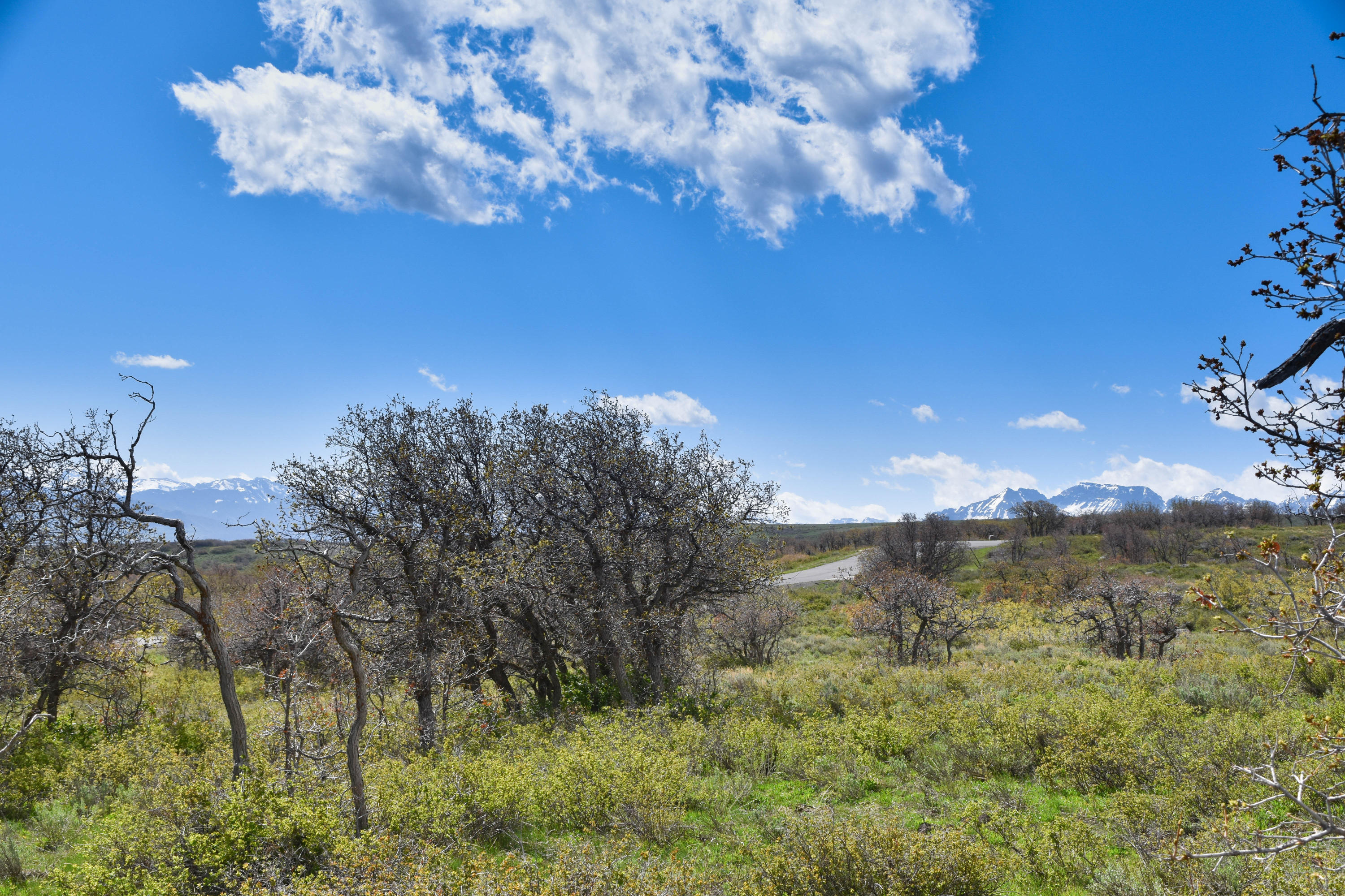 1115 Cornerstone Loop Montrose, CO 81403 - Photo 14 of 19 cam_-10
