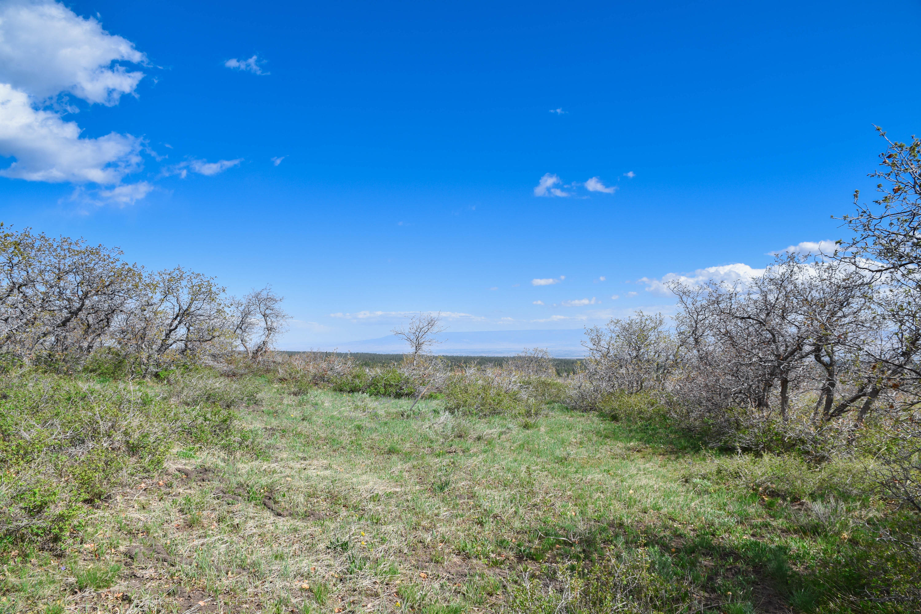 1115 Cornerstone Loop Montrose, CO 81403 - Photo 16 of 19 cam_-12