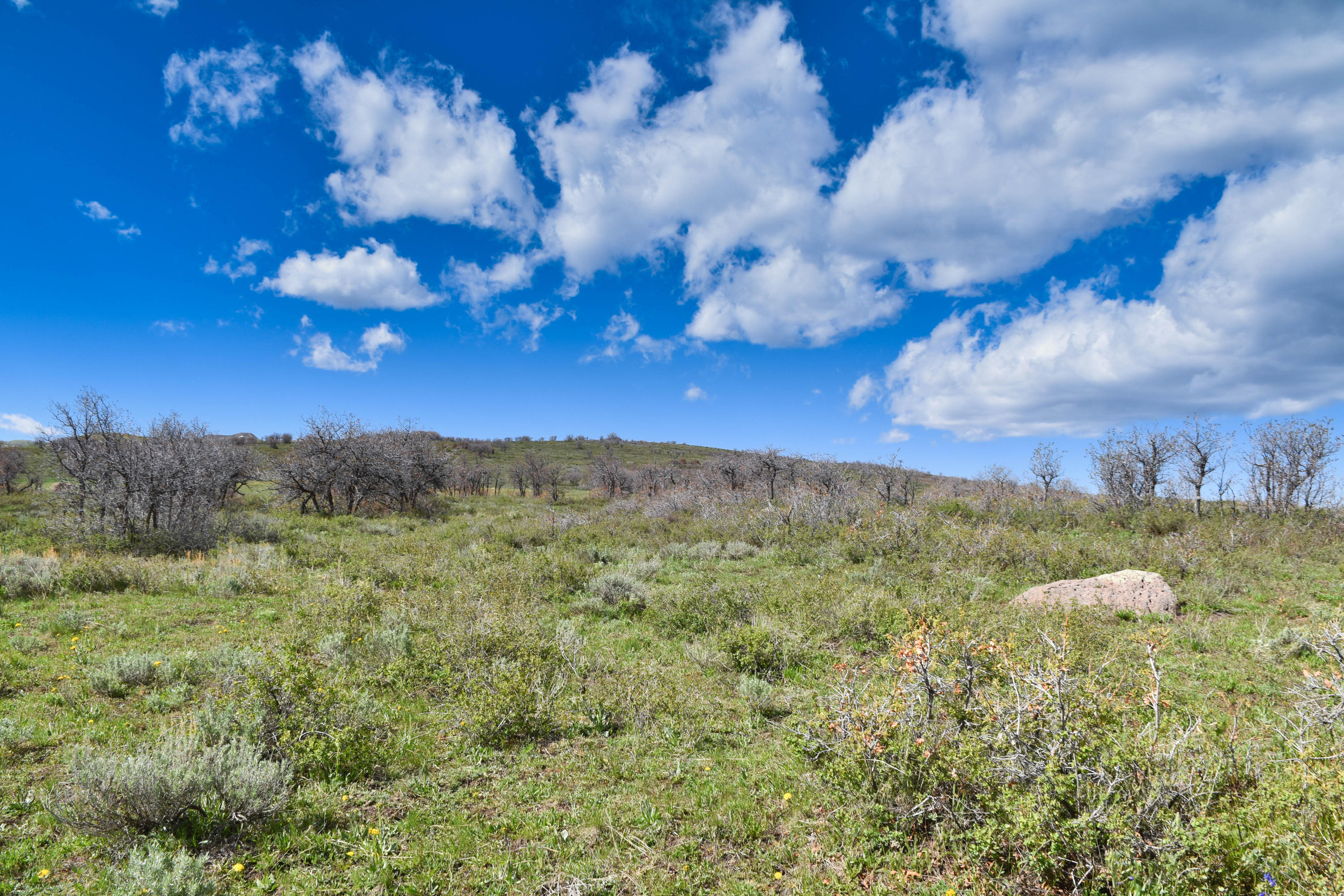 1115 Cornerstone Loop Montrose, CO 81403 - Photo 18 of 19 cam_-14