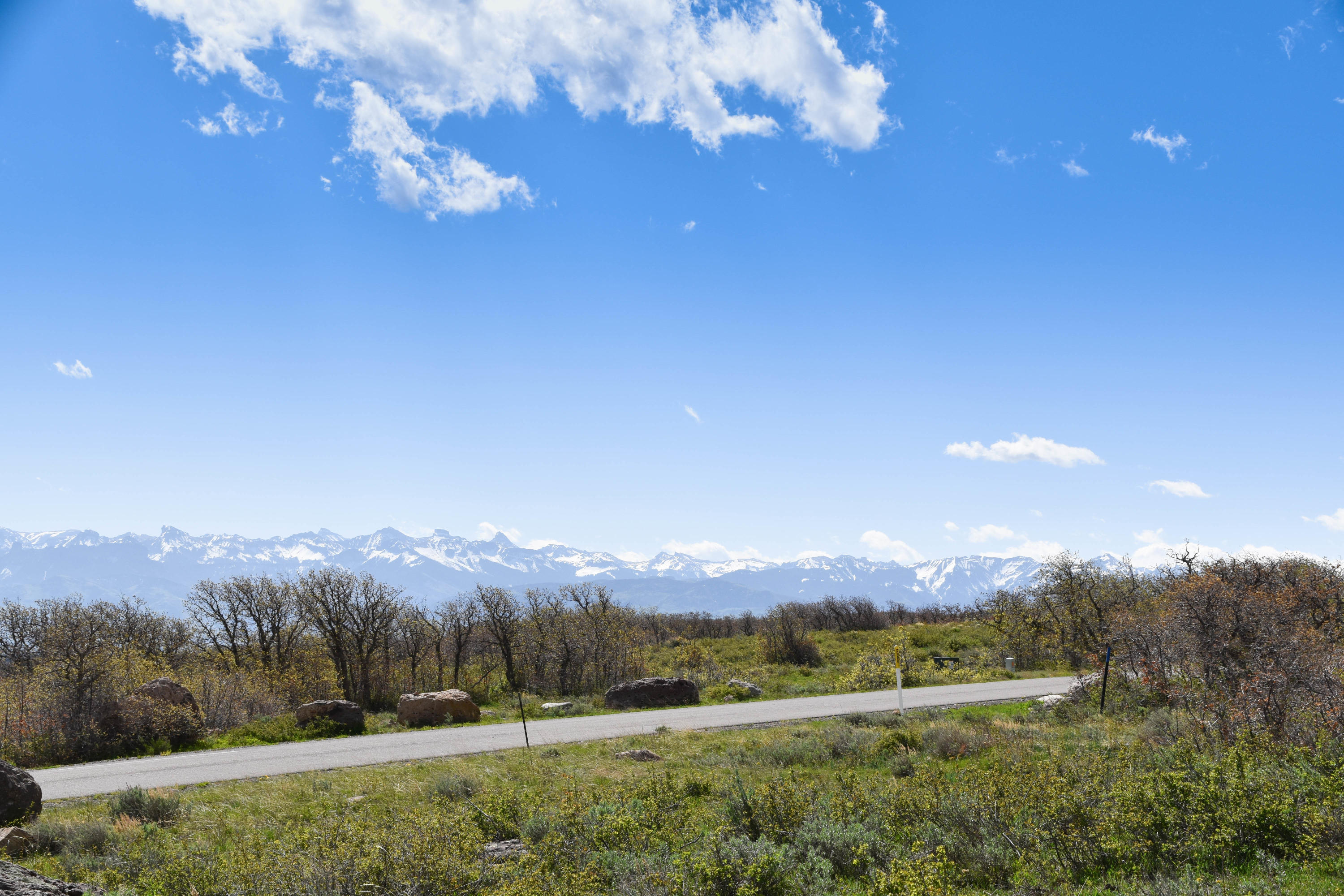 1115 Cornerstone Loop Montrose, CO 81403 - Photo 3 of 19 cam_-2