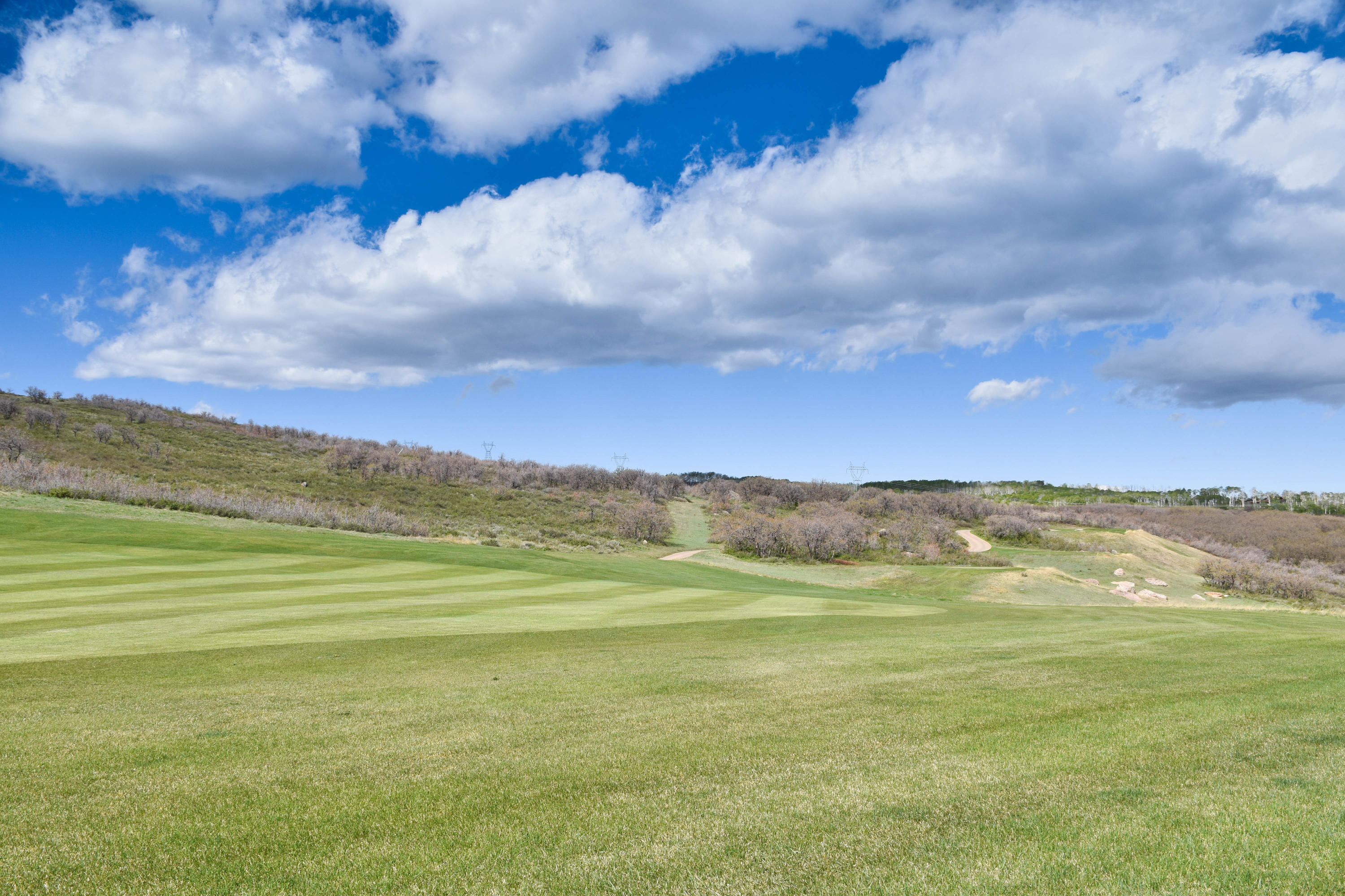 1115 Cornerstone Loop Montrose, CO 81403 - Photo 4 of 19 cam_-3