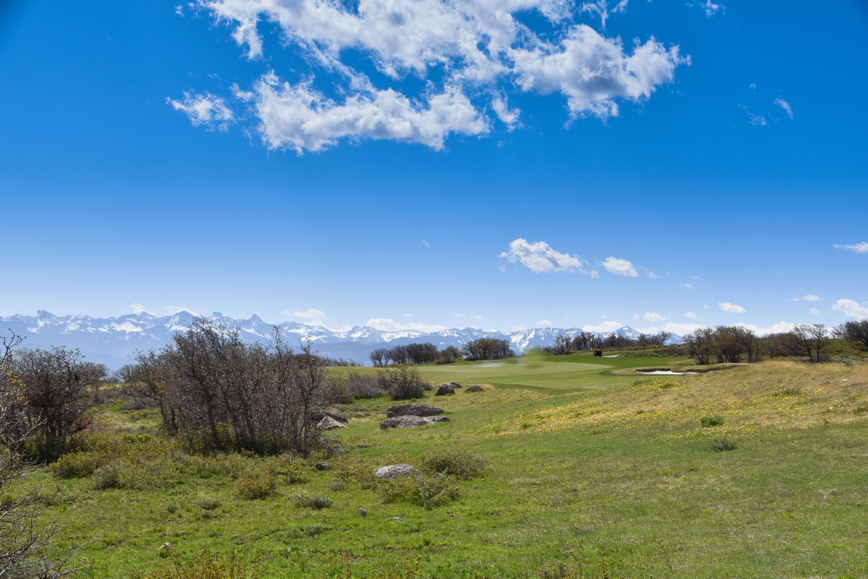 1115 Cornerstone Loop Montrose, CO 81403 - Photo 7 of 19 cam_-5