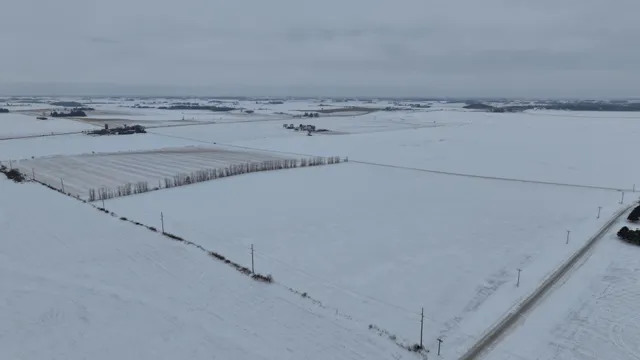 $392,000 | Tbd Tbd Freemont Drive, Utica, MN 55979