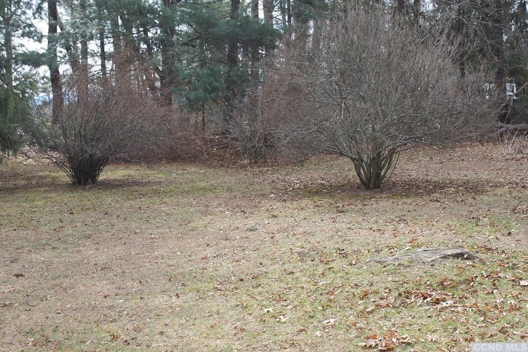 21 Birch Road Kinderhook, NY 12184 - Photo 8 of 10 Photo 8