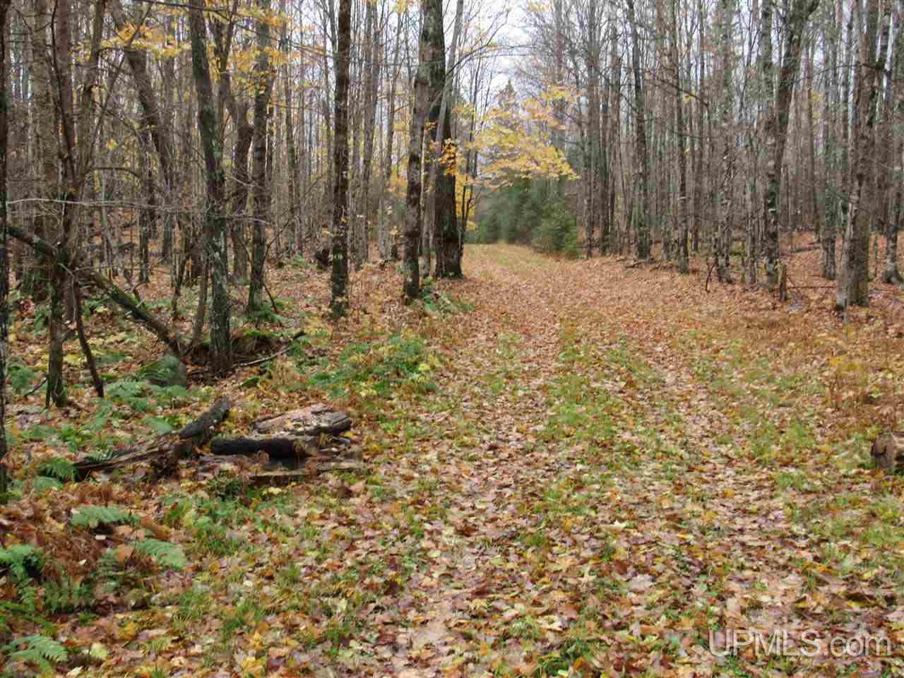River-connors Corner Road Iron River, MI 49935 - Photo 47 of 49